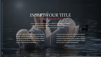 Swan Simple Google Templates_39