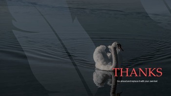 Swan Simple Google Templates_41