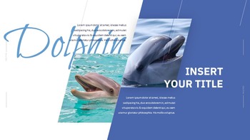 Dolphin Google Slides Templates for Your Next Presentation_37