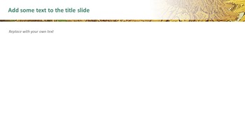 Vincent Van Gogh \"Sunflowers\" - Free Presentation Templates_05