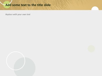 棕榈树和椰子 - 免费模板设计_05