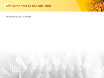 大虾 - 免费PowerPoint样本_04