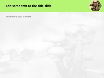 mushroom template ppt