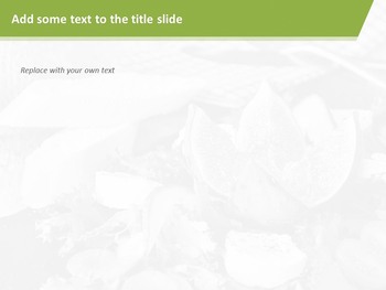 신선한 샐러드 - 무료 파워포인트 샘플_04