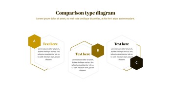 威尼斯狂欢节 谷歌幻灯片模板设计_33