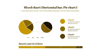 威尼斯狂欢节 谷歌幻灯片模板设计_48