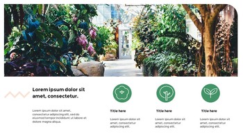 植物 谷歌幻灯片模板为您的下一次演示_17