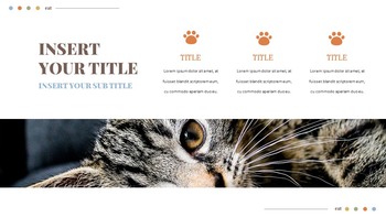 Cat Google Slides Templates for Your Next Presentation_14