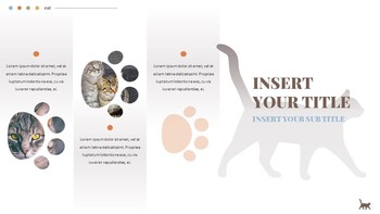 Cat Google Slides Templates for Your Next Presentation_20