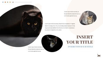 Cat Google Slides Templates for Your Next Presentation_23