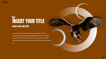 Eagle Google Slides Presentation_09