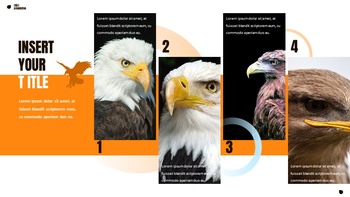 Eagle Google Slides Presentation_18