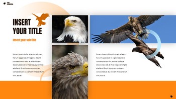 Eagle Google Slides Presentation_21