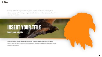 Eagle Google Slides Presentation_25