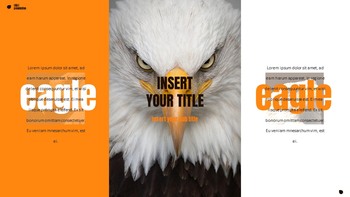 Eagle Google Slides Presentation_32