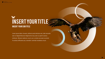 鹰 PowerPoint演示模板_09