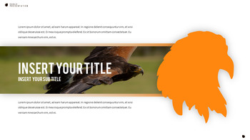 鹰 PowerPoint演示模板_25