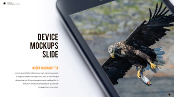 鹰 PowerPoint演示模板_38