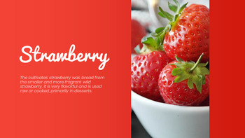 贝瑞贝瑞 简单的PowerPoint模板设计_04