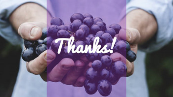 贝瑞贝瑞 简单的PowerPoint模板设计_11