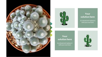 Cactus Simple Presentation Google Slides Template_07