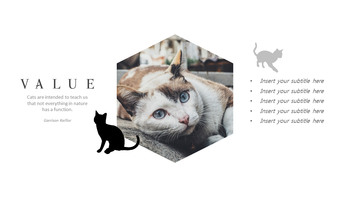 펫샵(애견샵) 심플한 파워포인트 템플릿 디자인_05