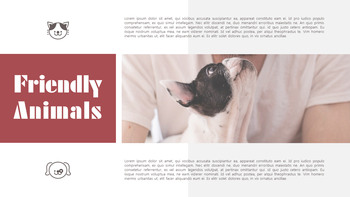 Lovely Pet Simple PowerPoint Templates_07