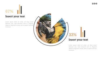 Zoo Multipurpose Presentation Keynote Template