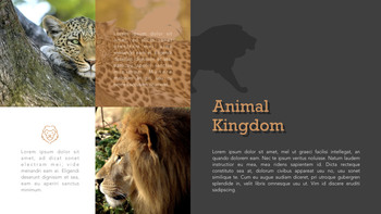 Zoo Multipurpose Presentation Keynote Template