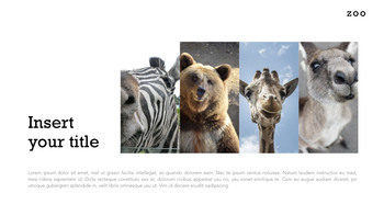 Zoo Multipurpose Presentation Keynote Template