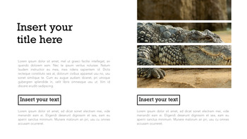Zoo Multipurpose Presentation Keynote Template