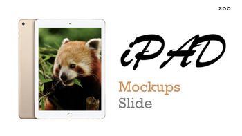 Zoo Multipurpose Presentation Keynote Template