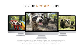Zoo Multipurpose Presentation Keynote Template