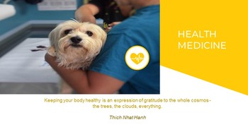 Animal Medical Google Slides Presentation Templates_09