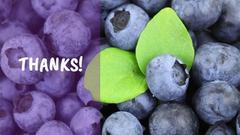 Berries Set Google Slides Templates_27