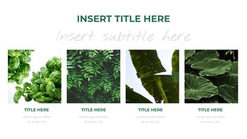 植物 谷歌幻灯片主题为演示_24