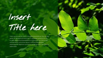 植物 谷歌幻灯片主题为演示_29