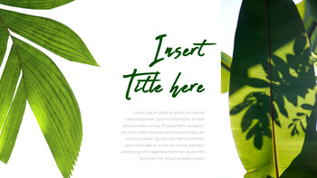 보테니컬 프레젠테이션용 PowerPoint 템플릿_09