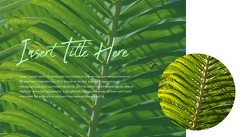 보테니컬 프레젠테이션용 PowerPoint 템플릿_15