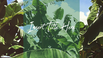 보테니컬 프레젠테이션용 PowerPoint 템플릿_19