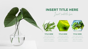 보테니컬 프레젠테이션용 PowerPoint 템플릿_36