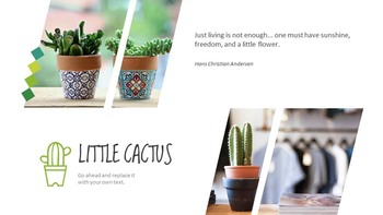 Cactus Google Slides Themes for Presentations_04