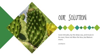 Cactus Thèmes Google Slides pour les présentations_07