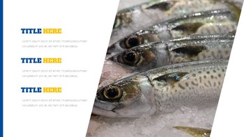 Fisheries Google Slides Presentation Templates_28