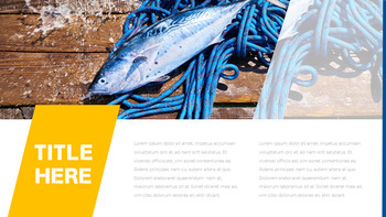 渔业 幻灯片演示文稿_06