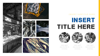 渔业 幻灯片演示文稿_33