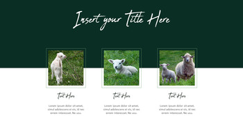 농장과 가축 파워포인트 프레젠테이션_10