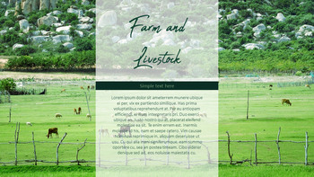 농장과 가축 파워포인트 프레젠테이션_11