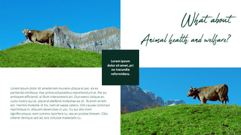 농장과 가축 파워포인트 프레젠테이션_12