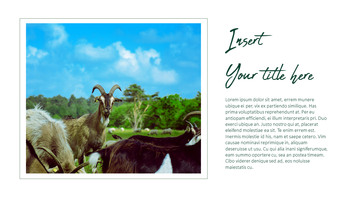 농장과 가축 파워포인트 프레젠테이션_19